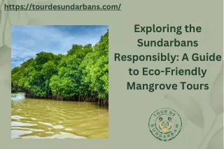 Exploring the Sundarbans Responsibly: A Guide to Eco-Friendly Mangrove Tours