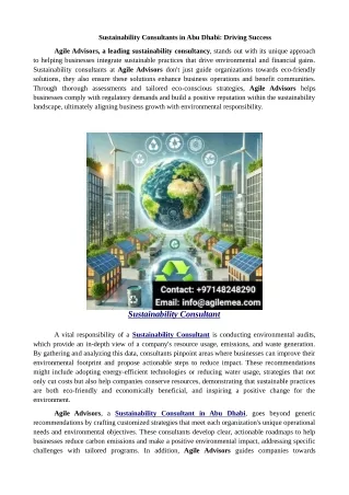 Sustainability Consultants in Abu Dhabi: Driving Success