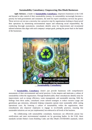 Sustainability Consultancy: Empowering Abu Dhabi Businesses