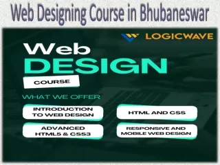 Web Designing Course in Bhubaneswar