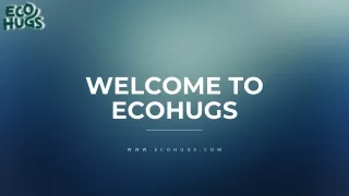 EcoHugs Pure Bamboo Diapers The Natural Choice for Eco-Friendly Families