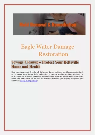 Sewage Cleanup – Protect Your Beltsville Home and Health