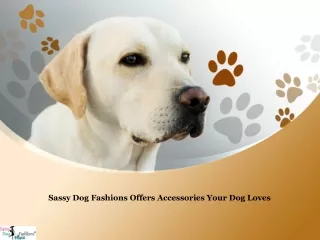 Sassy Dog Fashions Offers Accessories Your Dog Loves
