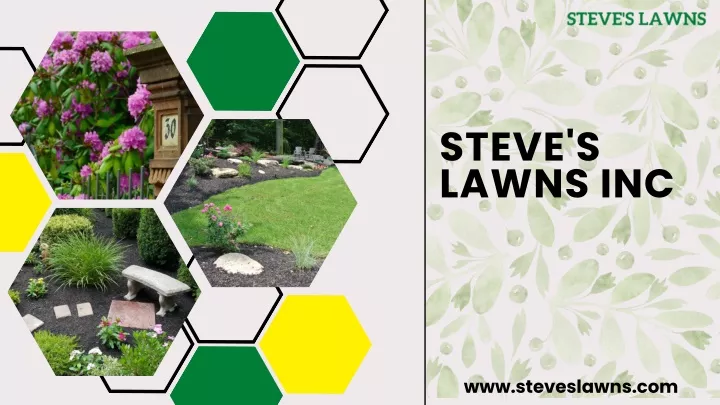 steve s lawns inc