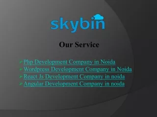 Expert WordPress Development Company in Noida | Skybin