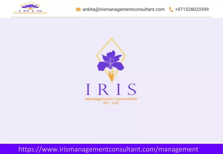 https www irismanagementconsultant com management