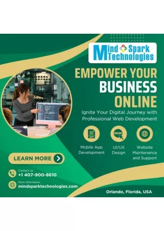 ERP software development company in Orlando, Florida: Mind Spark Technologies