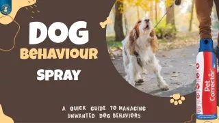 Dog Behaviour Spray for Training: Quick, Safe & Effective Solutions