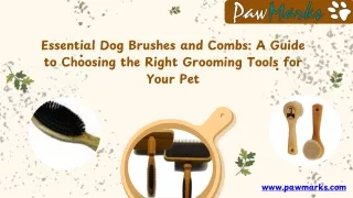 Essential Dog Brushes and Combs: A Guide to Choosing the Right Grooming Tools fo