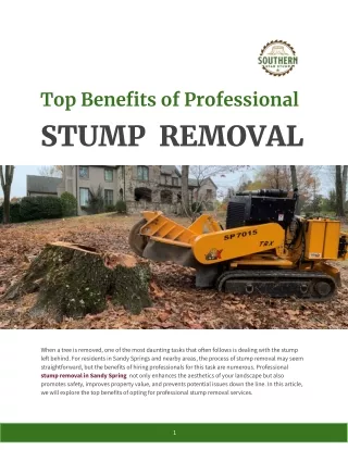 Top Benefits of Professional STUMP  REMOVAL