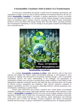 A Sustainability Consultant's Role in Dubai's Eco Transformation