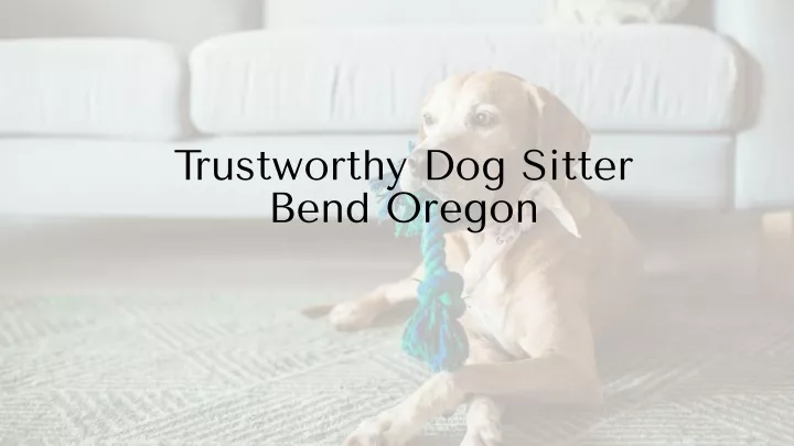 trustworthy dog sitter bend oregon