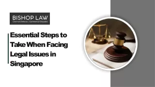 Essential Steps to Take When Facing Legal Issues in Singapore