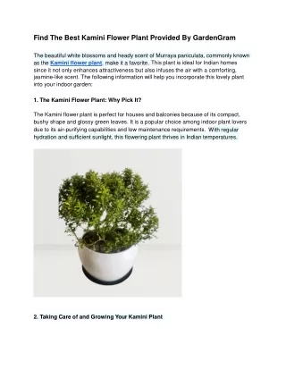 Find The Best Kamini Flower Plant Provided By GardenGram