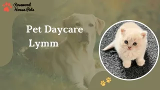 Pet Daycare Lymm