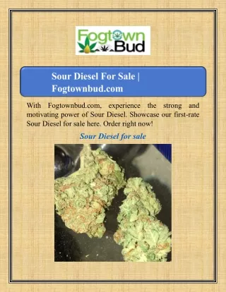 with fogtownbud com experience the strong