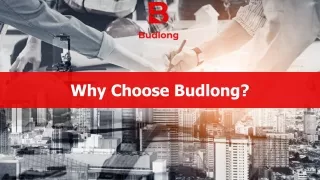 Engineering Consulting Services, MEP Design Engineer | Budlong
