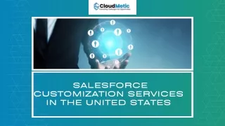 Salesforce customization services in the United States