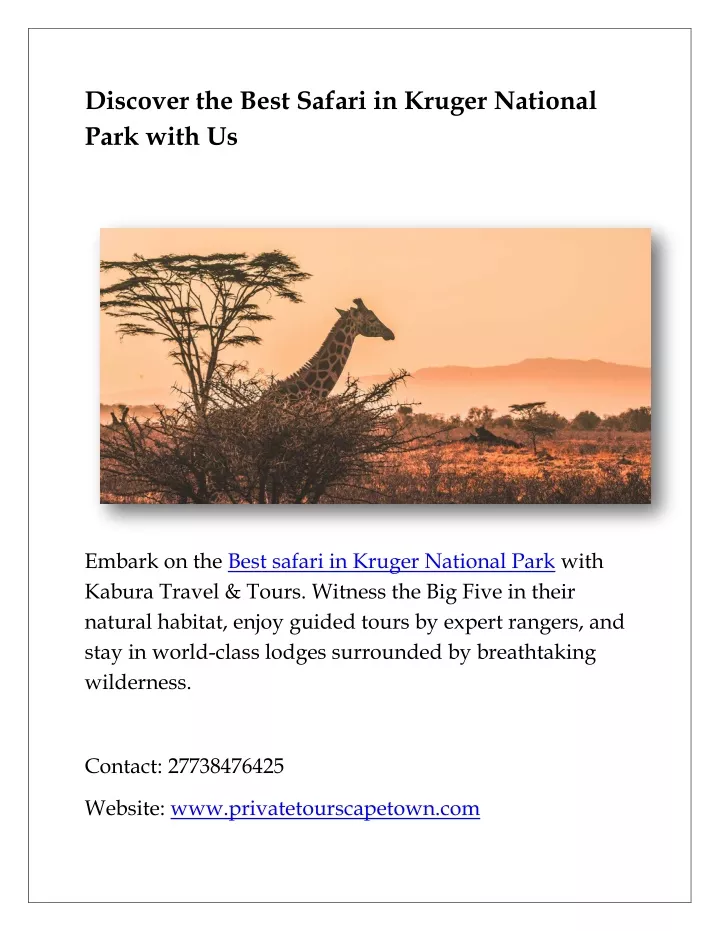 discover the best safari in kruger national park