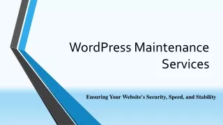 WordPress Maintenance Services