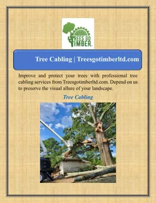 improve and protect your trees with professional