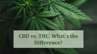 CBD vs. THC: What’s the Difference?