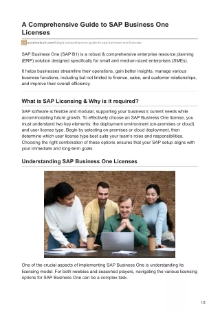 A Comprehensive Guide to SAP Business One Licenses