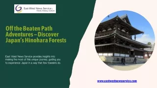 Off the Beaten Path Adventures – Discover Japan’s Hinohara Forests