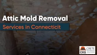 Attic Mold Removal Services