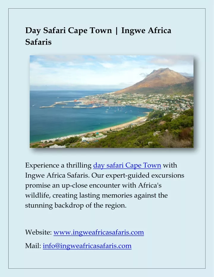 day safari cape town ingwe africa safaris