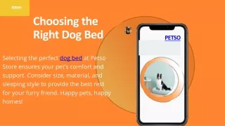 Choosing the Right Dog Bed