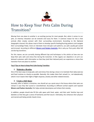 How to Keep Your Pets Calm During Transition