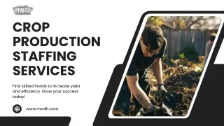 Find Affordable and Top Crop Production Staffing Services