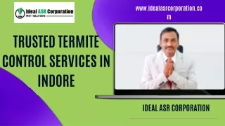 Termite Control Service in Indore  Termite Treatment