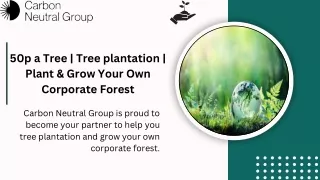 50p a Tree  Tree plantation  Plant & Grow Your Own Corporate Forest