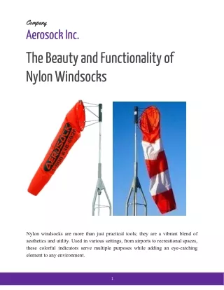 The Beauty and Functionality of Nylon Windsocks