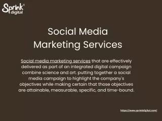 Boost Your Brand with Expert Social Media Marketing Services